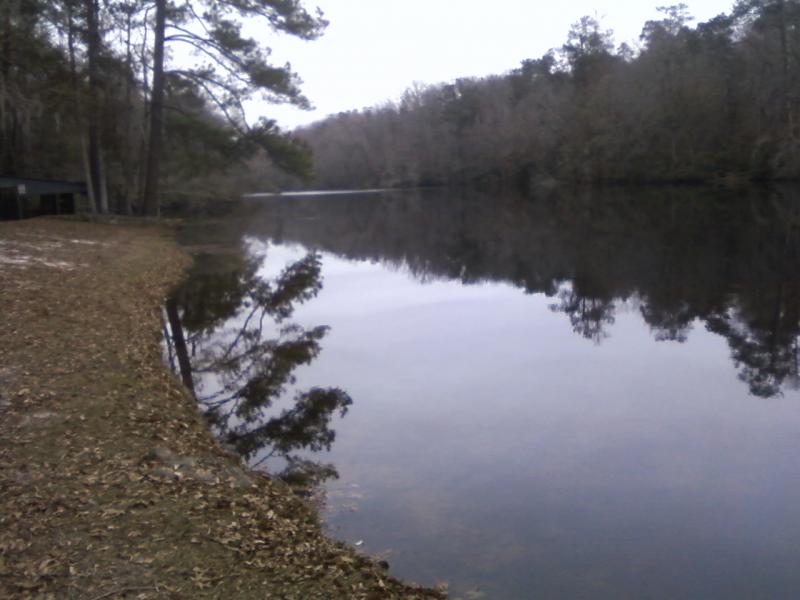 poinsett state park, 1-5-2014