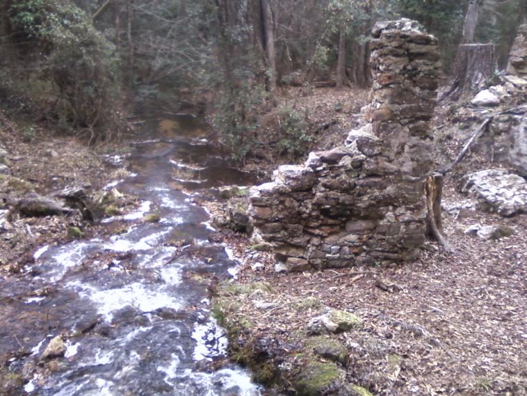 poinsett state park, 1-5-2014