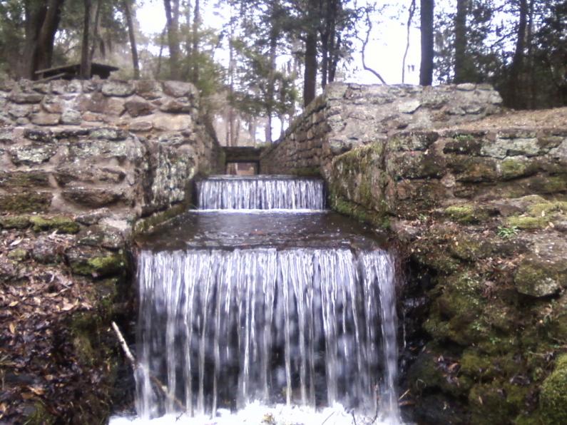 poinsett state park, 1-5-2014