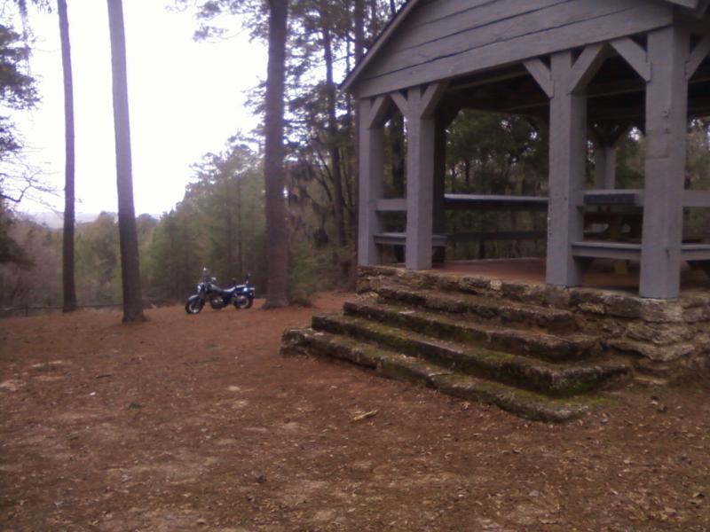 poinsett state park, 1-5-2014