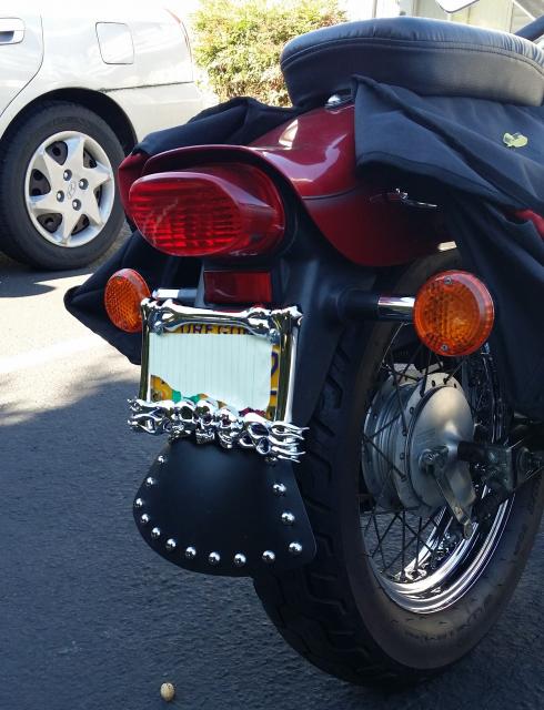 New plate cover and studded mudflap